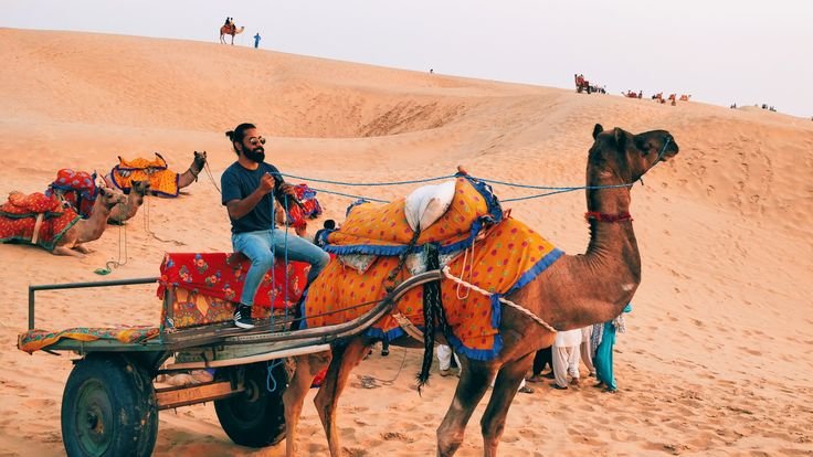 camel safari in jaisalmer